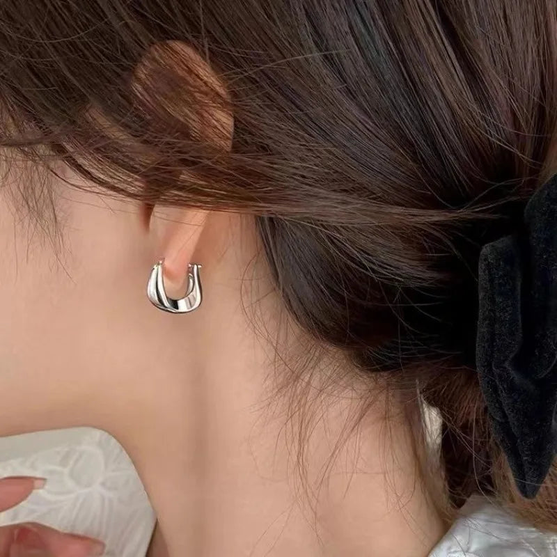 Classic Hoop Classic 2 Earrings
