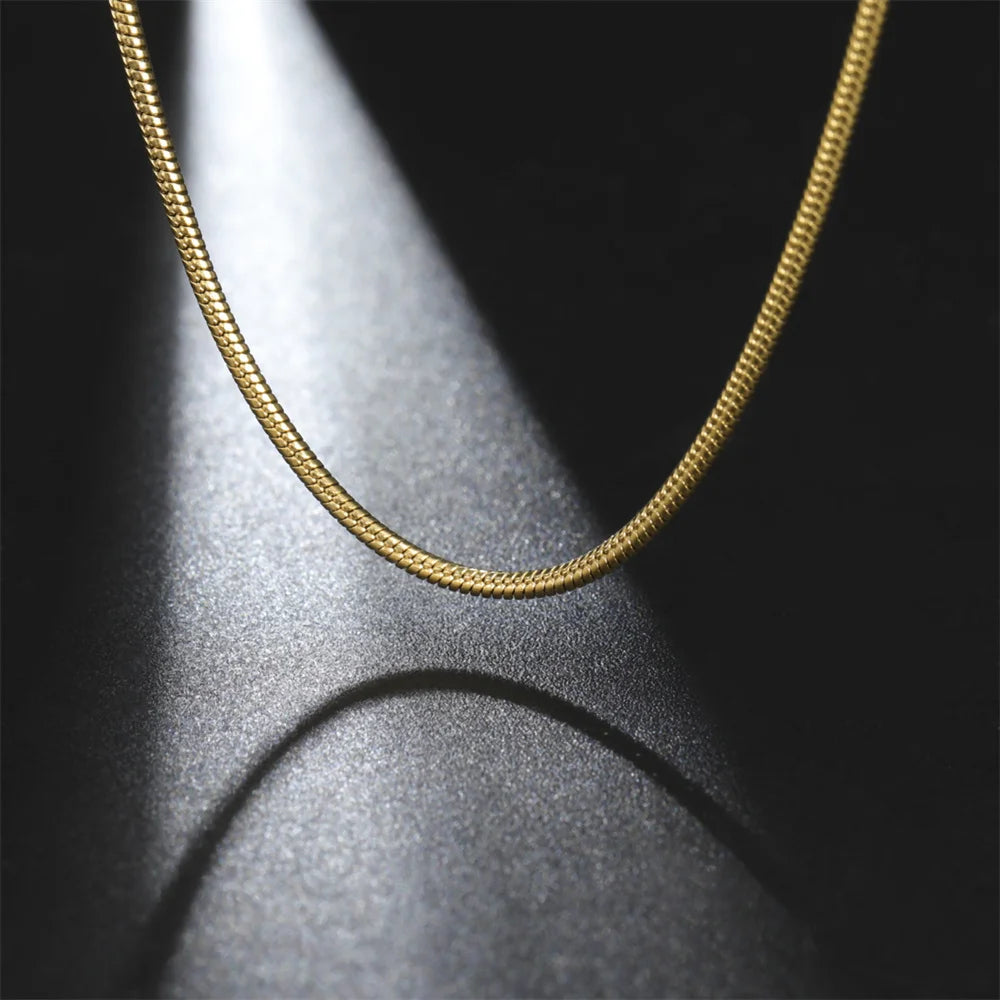 Snake Chain Necklace