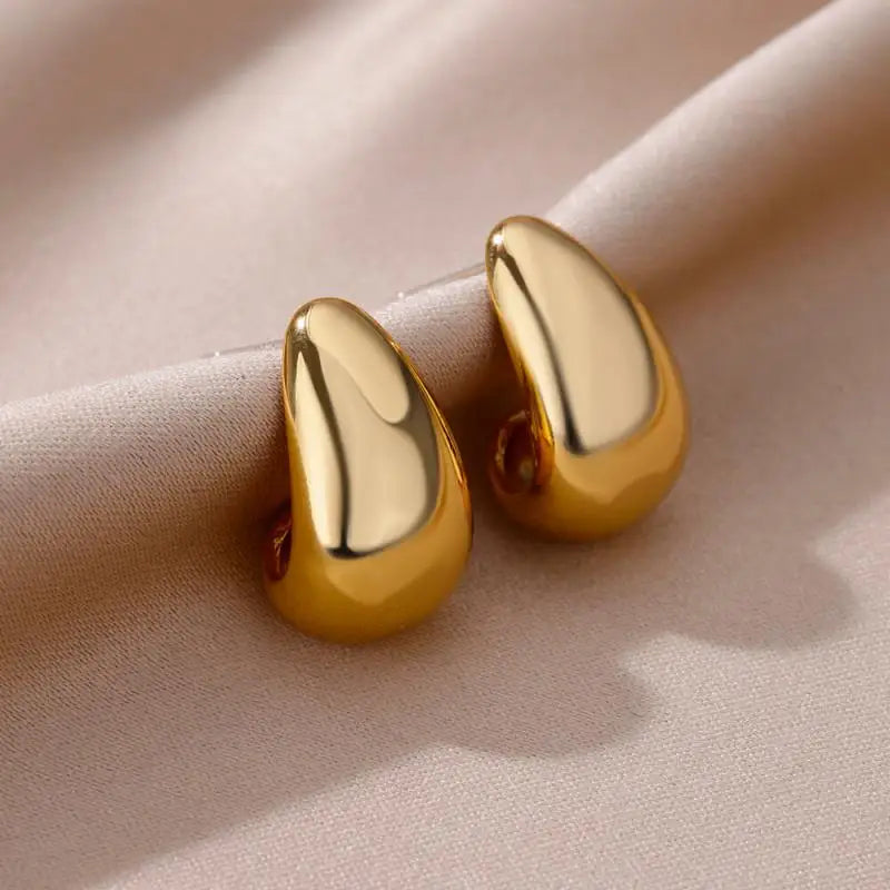 Heart Zirconia Earrings