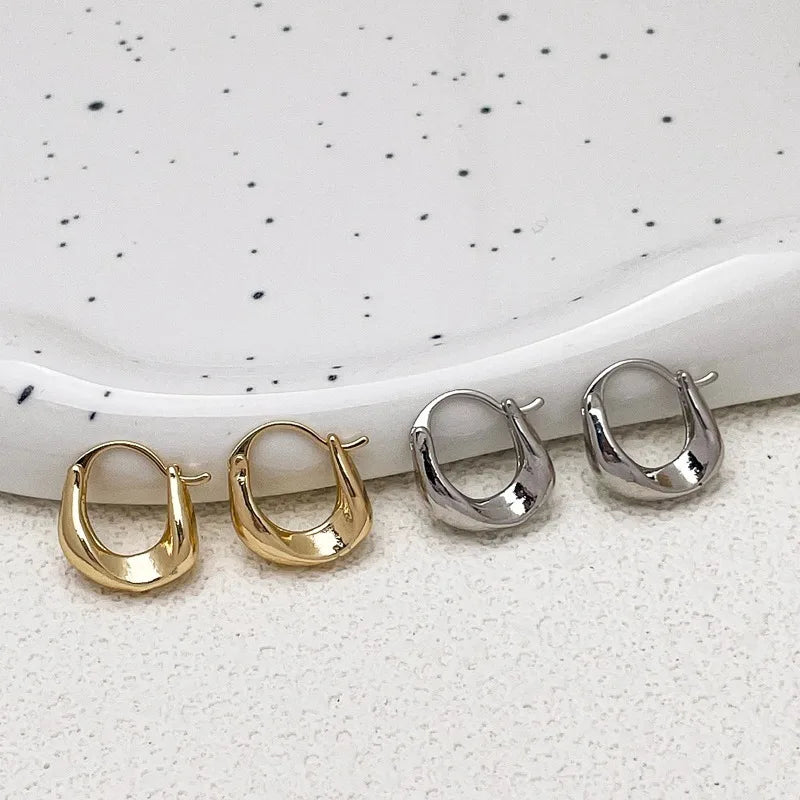 Classic Hoop Classic 2 Earrings