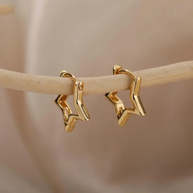 Heart Zirconia Earrings