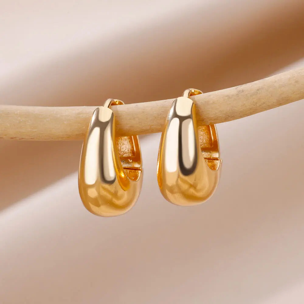Heart Zirconia Earrings